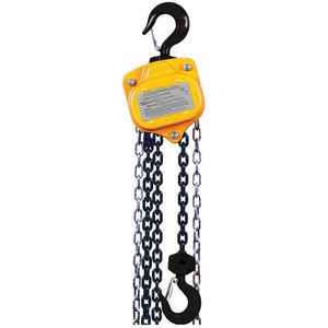 Hoists and Pullers
